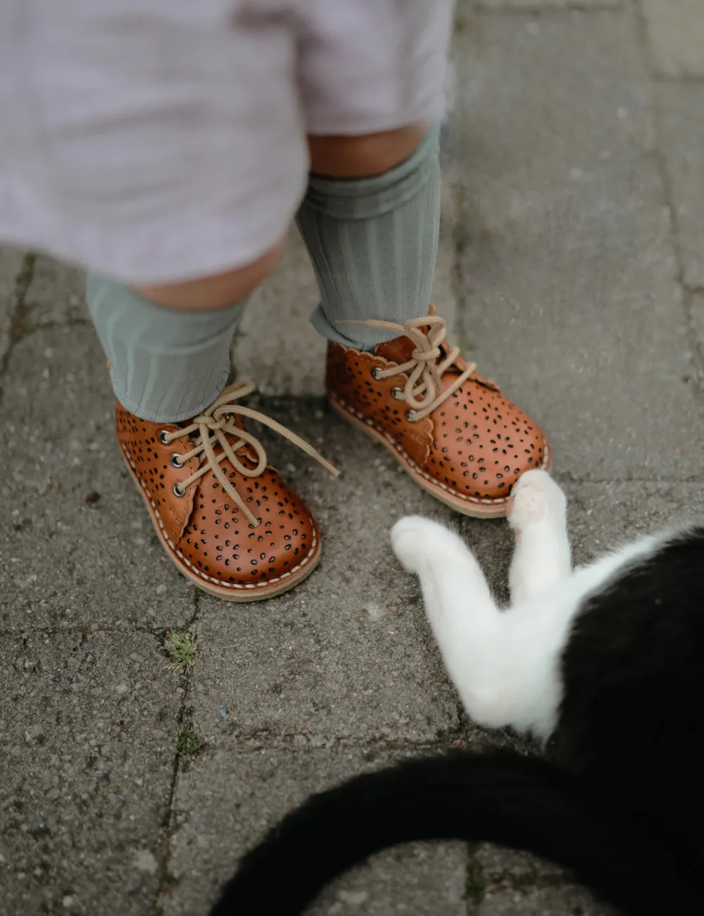 Scallop Boot Flower - Cognac