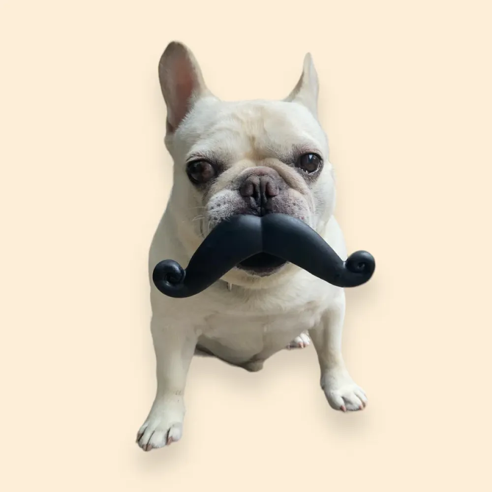 Talking Dog Club Moustache Squeaky Toy for Dogs (Black)